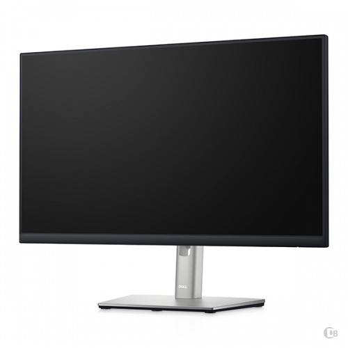 DELL P2422H