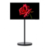 삼성 무빙스타일 QLED 4K 55인치 138cm 스탠다드 1등급 KQ55QF7A-N2B